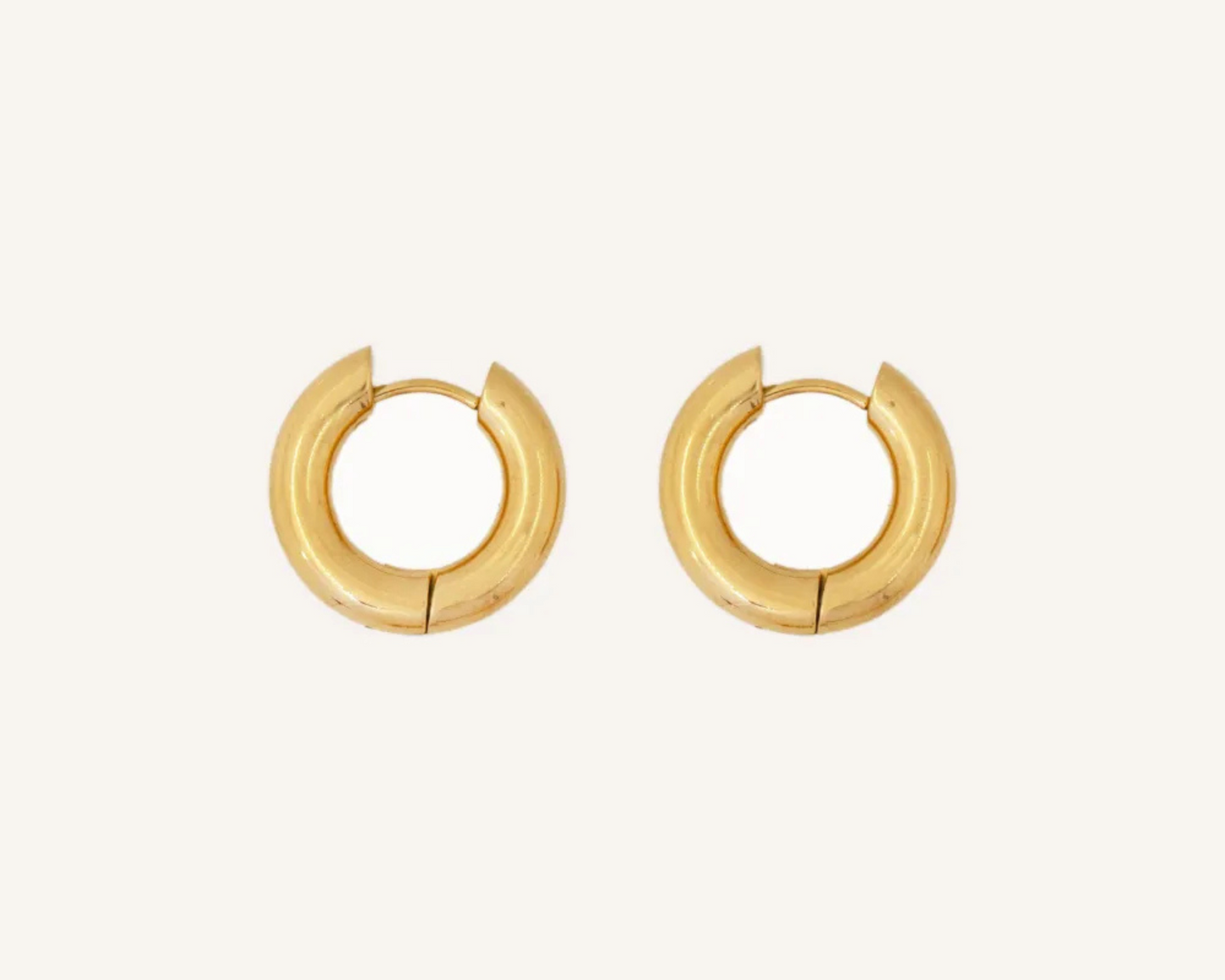Alba Hoops Earrings