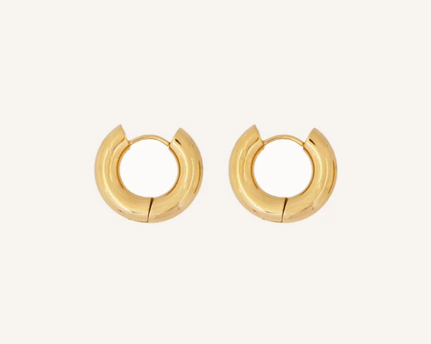 Alba Hoops Earrings
