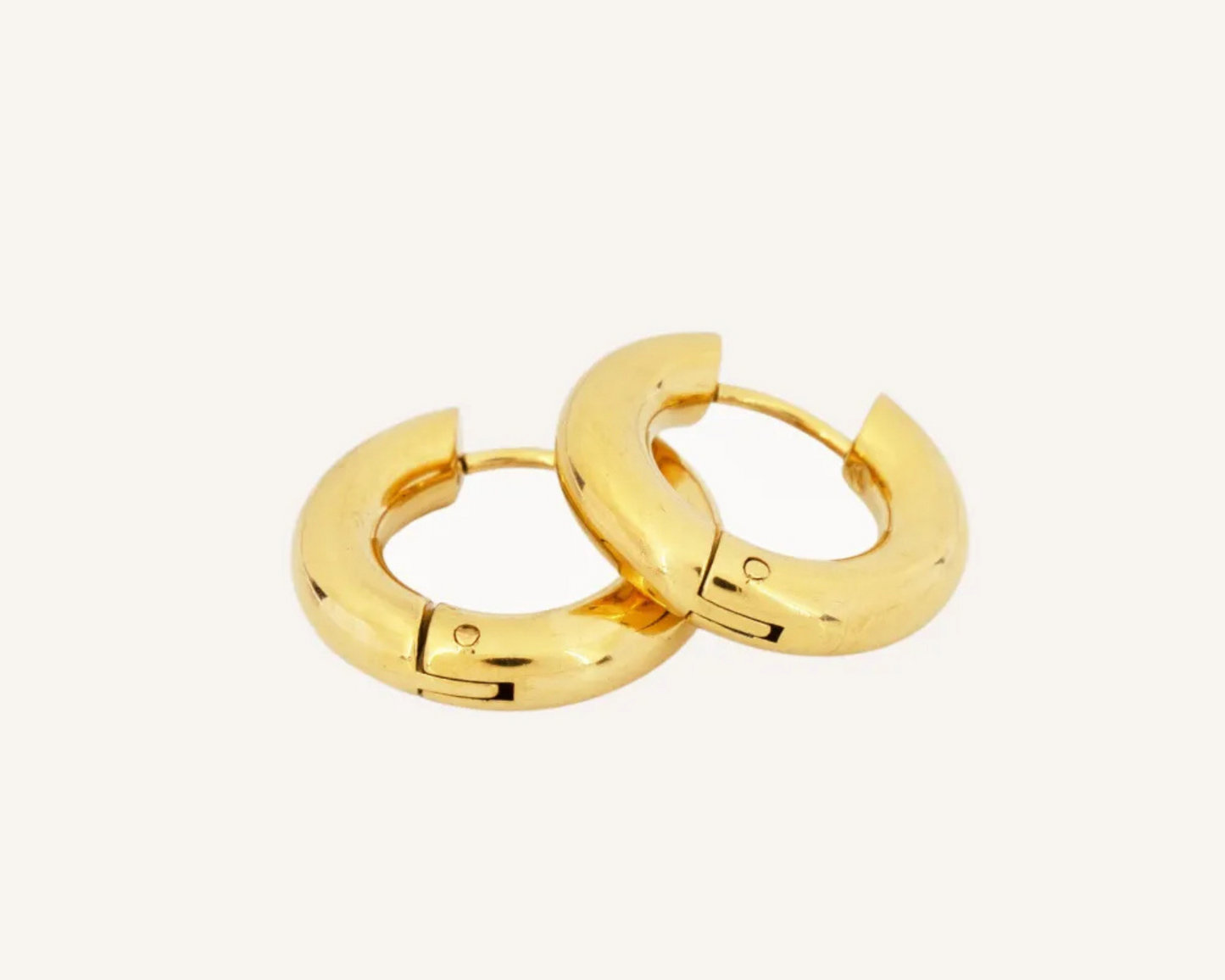 Alba Hoops Earrings