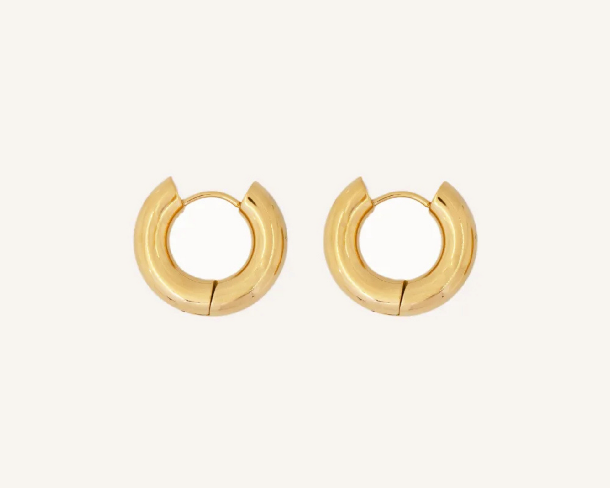 Alba Hoops Earrings