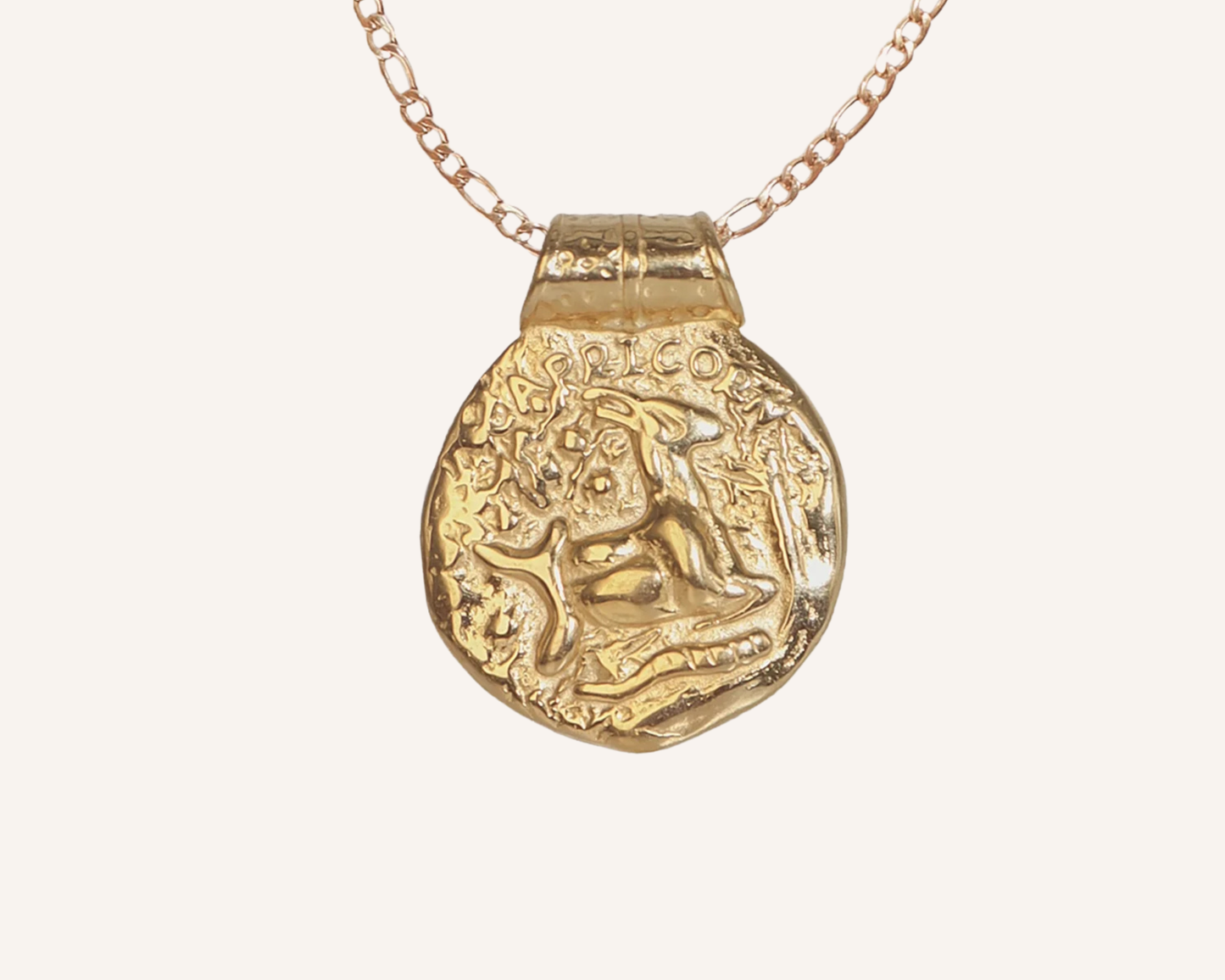 Zodiac Chunky Medallion Necklace