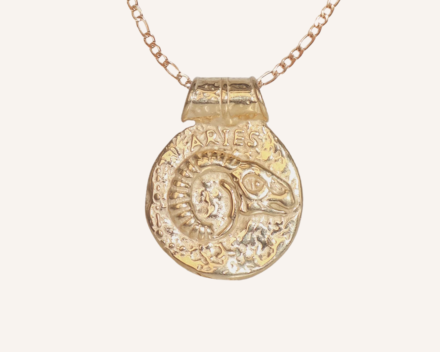 Zodiac Chunky Medallion Necklace