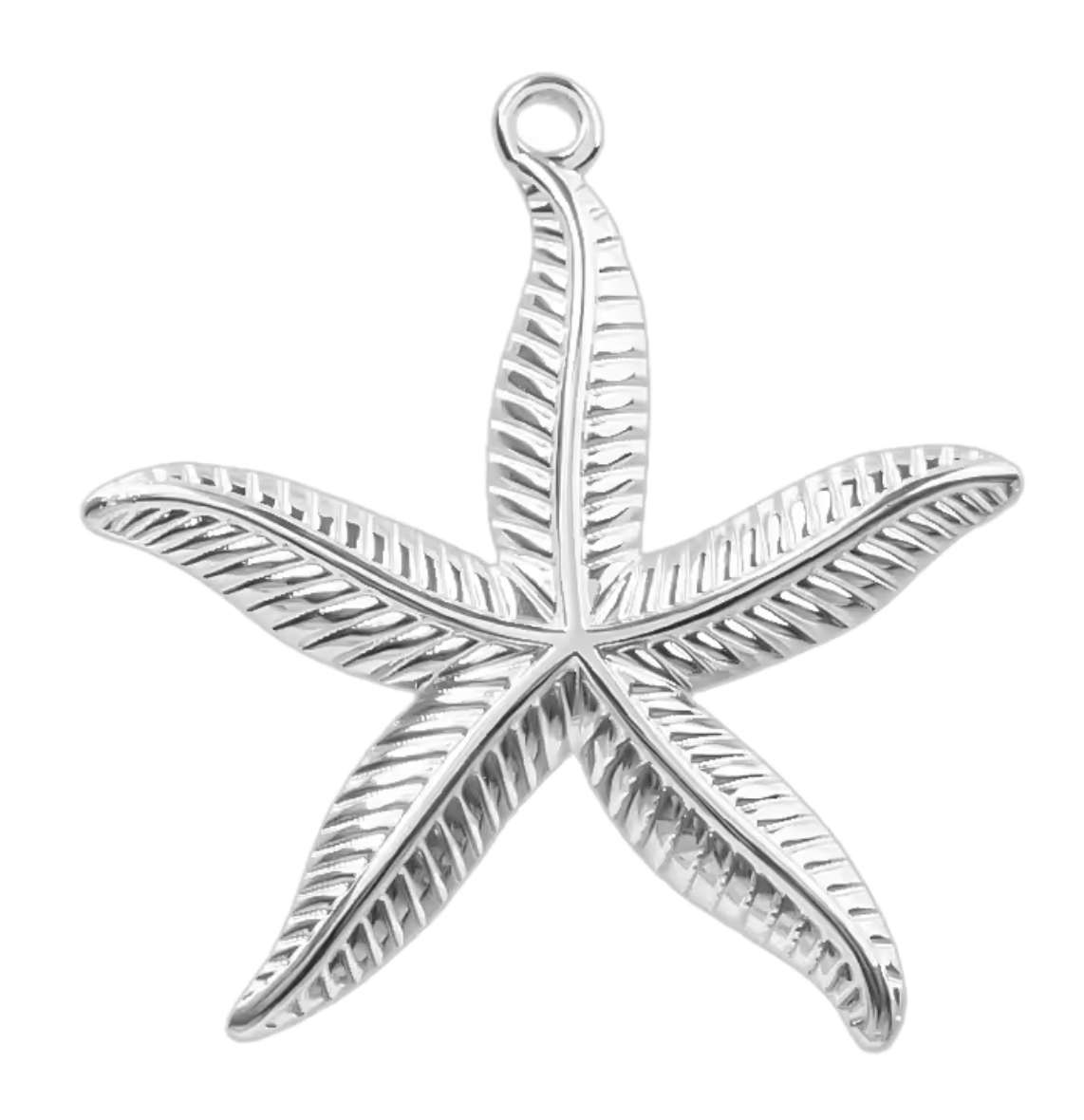 Coastal Charms